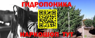 стаф Гусев