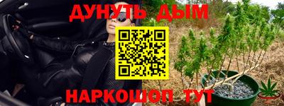 стаф Гусев